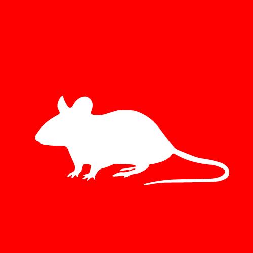 Mice – PESTSTOP