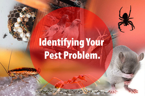 Pest Problems Identifying your pest problem. – PESTSTOP