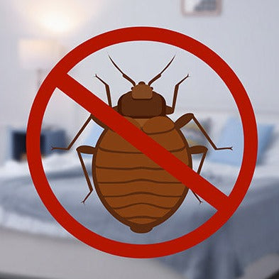 Bed Bug Frost Spray