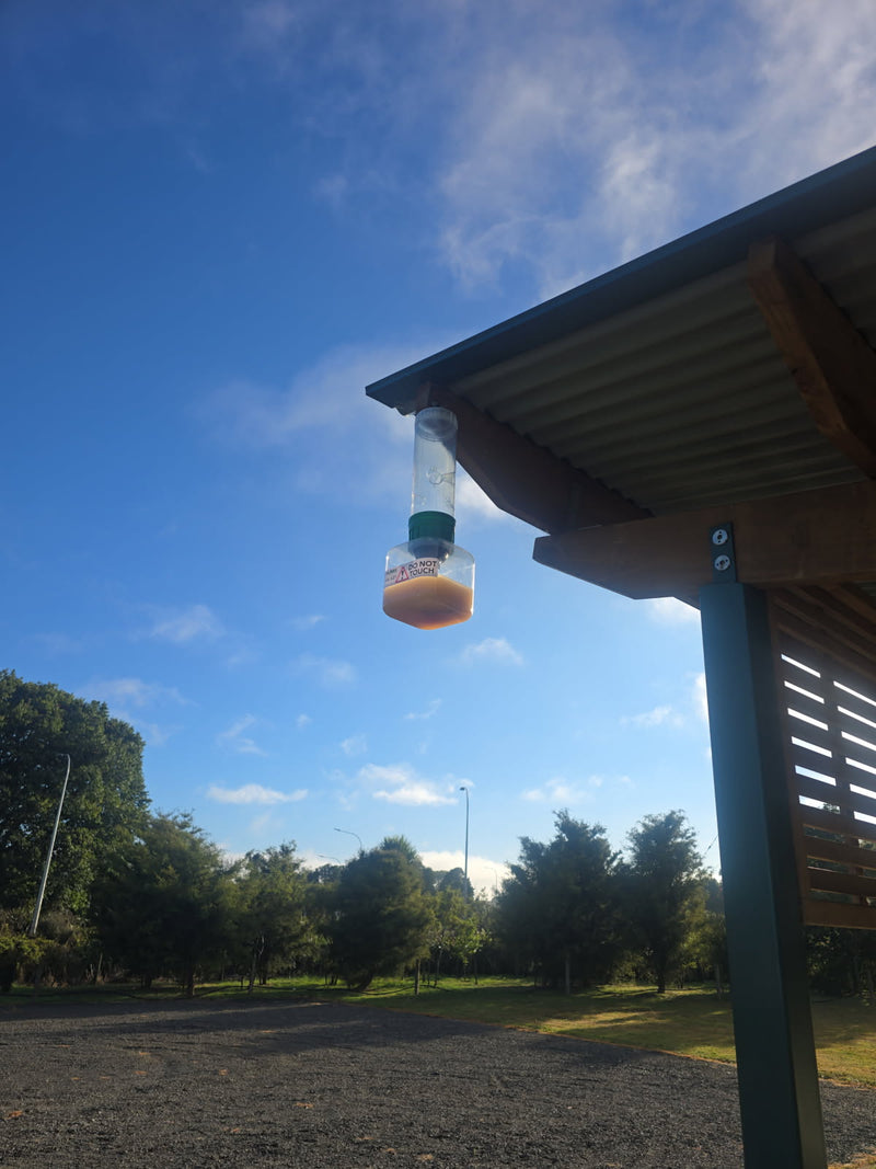 WaspBane - Professional Wasp Trap