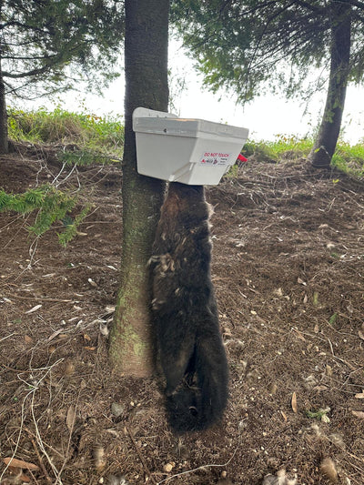 trapinator Possum Trap