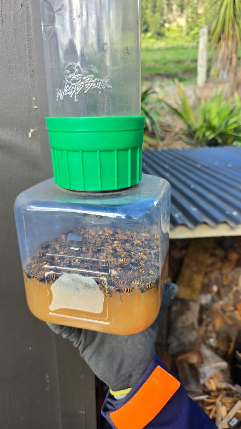WaspBane - Professional Wasp Trap