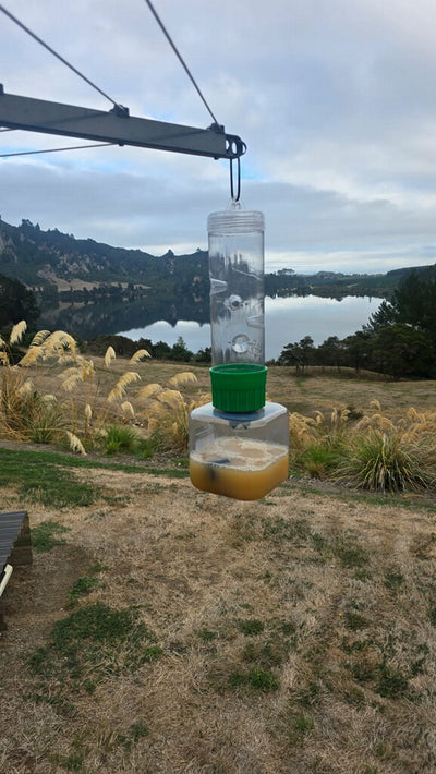 WaspBane - Professional Wasp Trap