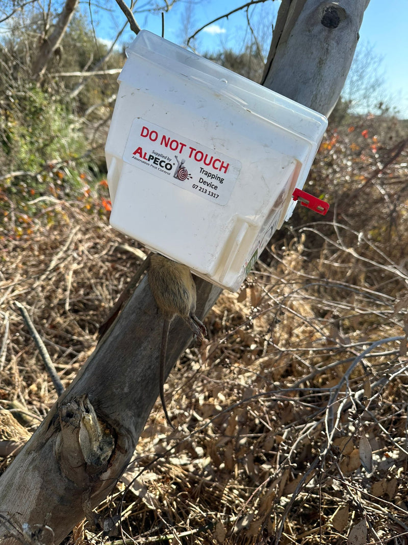 Trapinator Possum Trap