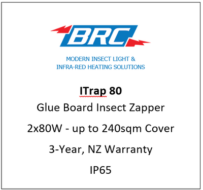 ITRAP80 - UV-A Glue board Insect Light