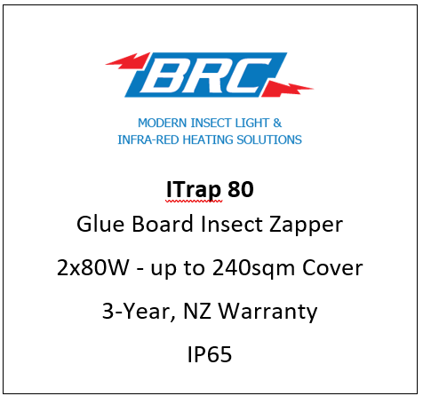 ITRAP80 - UV-A Glue board Insect Light