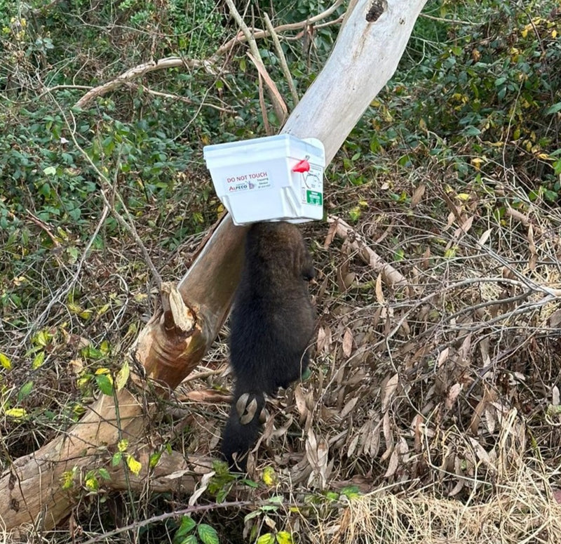 Trapinator Possum Trap