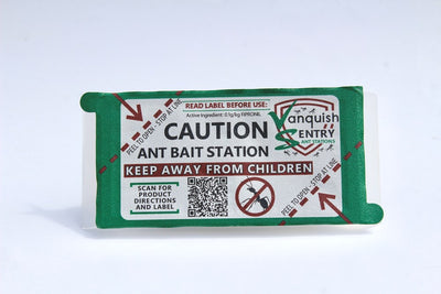 Best Ant Bait Outdoor and Indoor