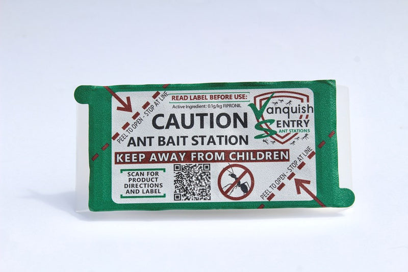 Best Ant Bait Outdoor and Indoor