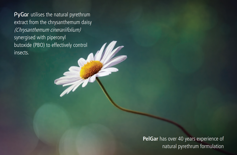 PyGar 5L - Natrual Insecticide for Crawling and Flying Insects