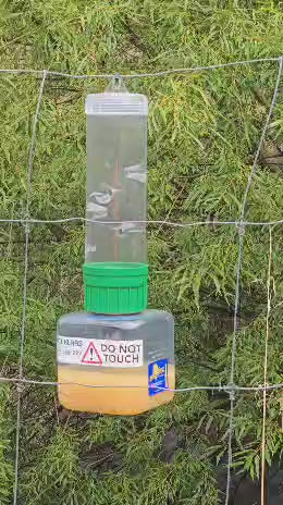 WaspBane - Professional Wasp Trap