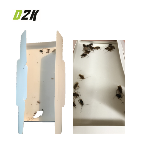 Monitor Traps Lured Cockroach Monitor Trap – PESTSTOP