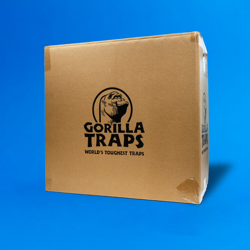 Gorilla Rat Snap Trap 200pc Transparent