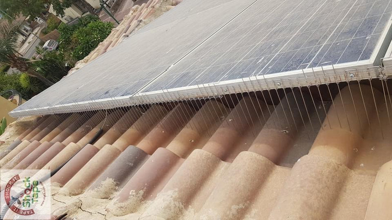 Solar Panel Anti-bird nesting Spikes