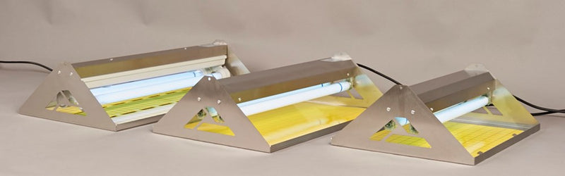 ITRAP80 - Glue Board Stainless UV-A Insect Light Trap "IP65"