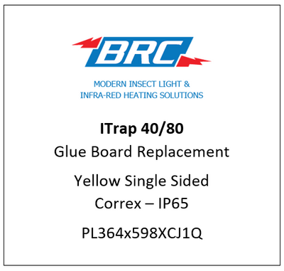 ITRAP40/80 - Replacement Glue Board