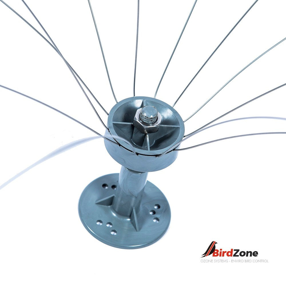Bird Defense Spider Long Legs Bird Defence β PESTSTOP