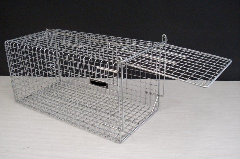 Life Catch Cage Trap