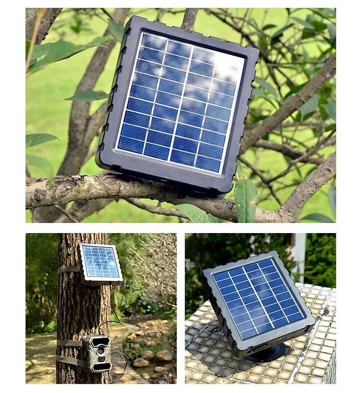 12V Solar Charger for Pest and Wifi Camera – PESTSTOP